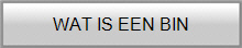 WAT IS EEN BIN